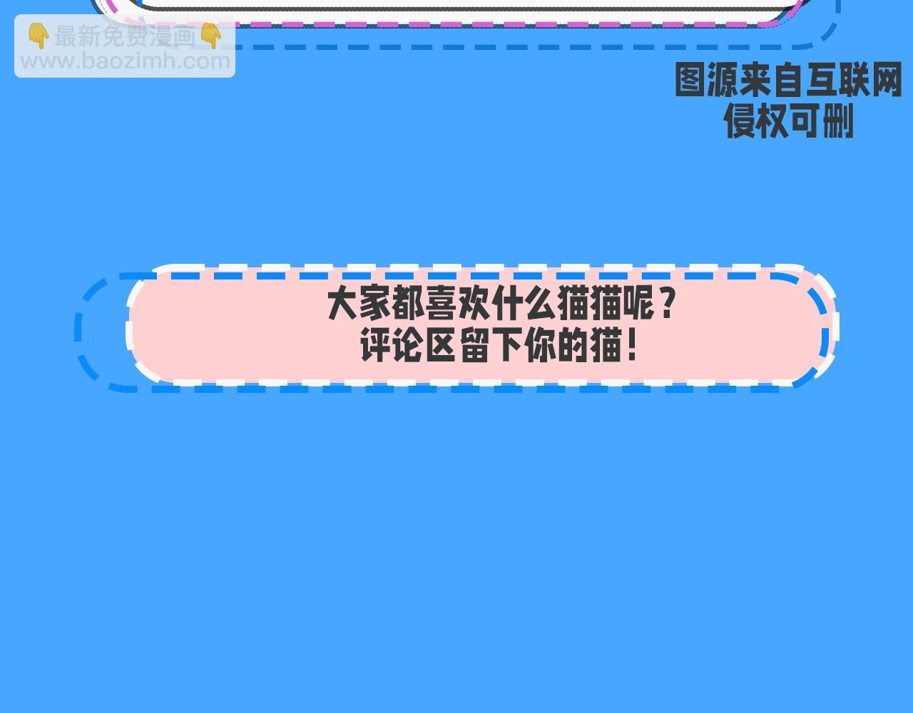 第43期 人鱼陷落的主角都是什么品种的猫（日更中）-第113话