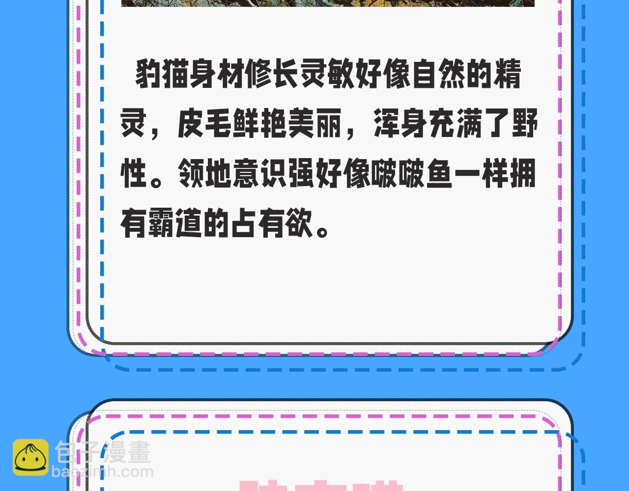 第43期 人鱼陷落的主角都是什么品种的猫（日更中）-第113话