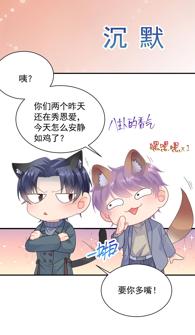 这里的戒指随便你挑(1/2)-第103话