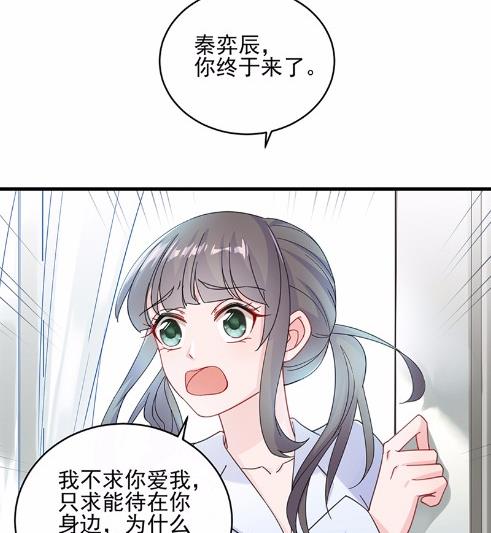15(1/2)-第15话