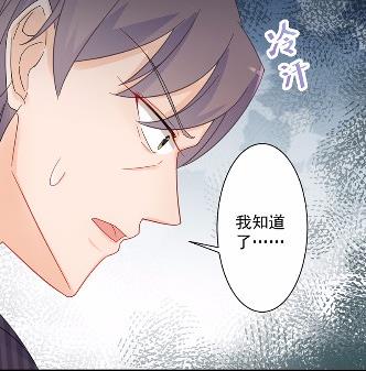 41(1/2)-第41话