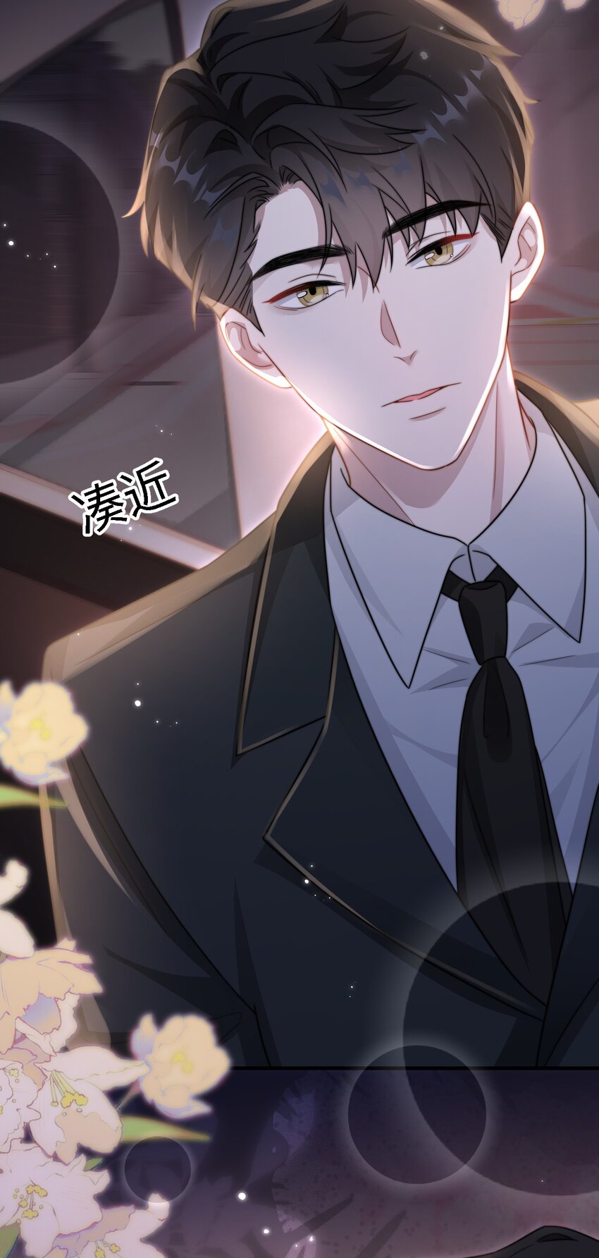 🍤热吻陷阱 11 解除婚约？ 第25页