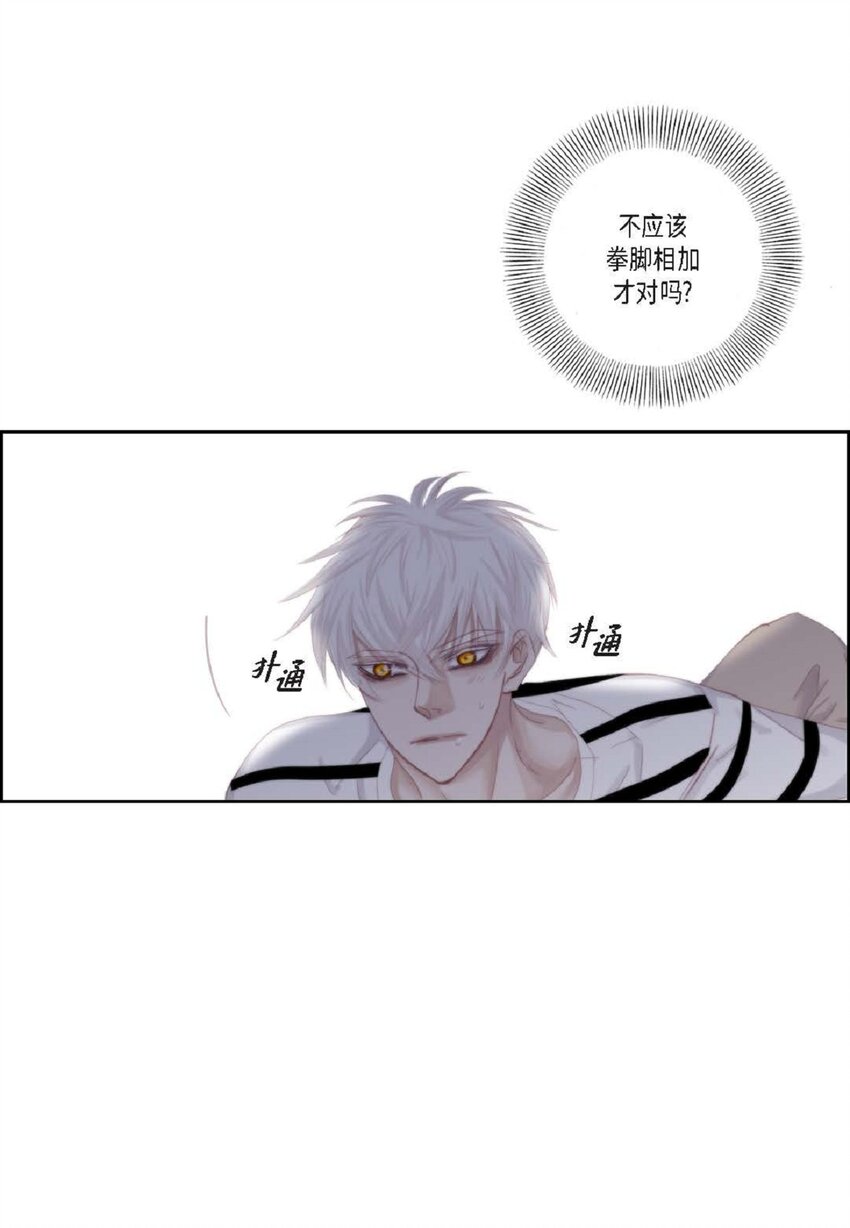 48 我不想犯傻(1/2)-第49话