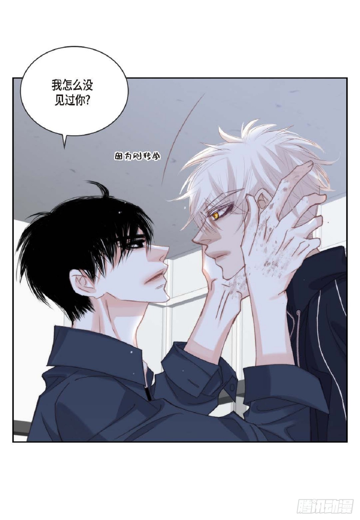 ep.97(1/2)-第99话