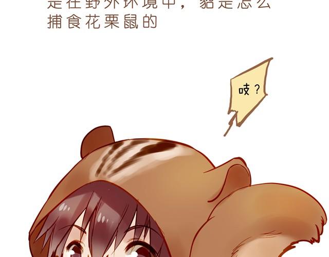 亲爱的城市我们回来了！-第31话