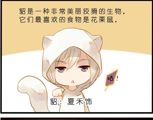 亲爱的城市我们回来了！-第31话