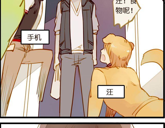 我那神一般的队友！-第41话