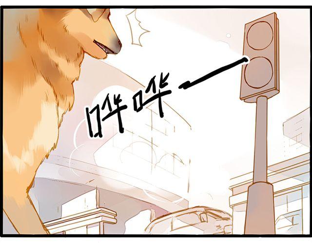 你不是我幻想出来的-第67话