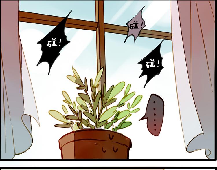 风的追求-第71话