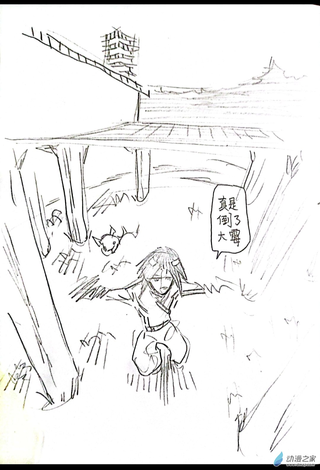 🍤日刊漫画 49 通灵王同人 第3页