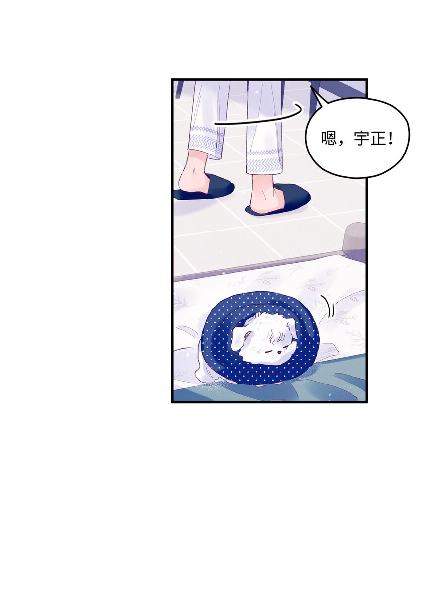 19 是喜欢吗？(1/2)-第19话