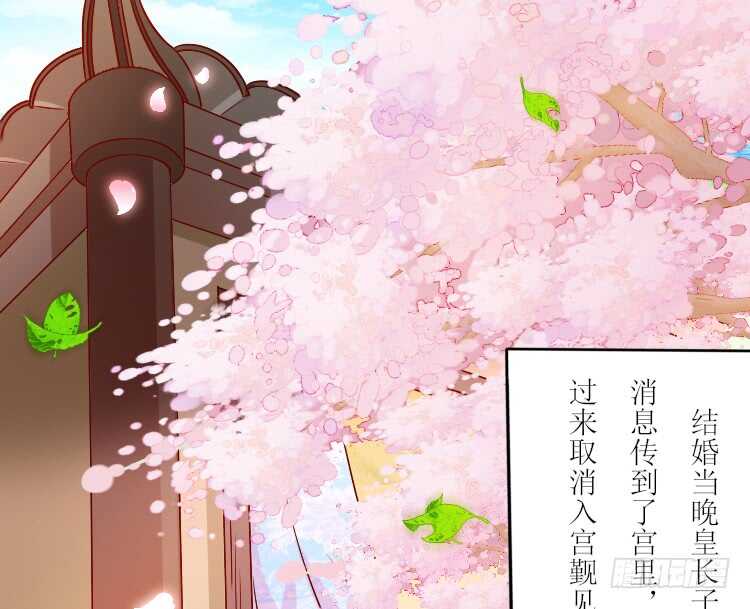 019.想逃婚(1/2)-第19话