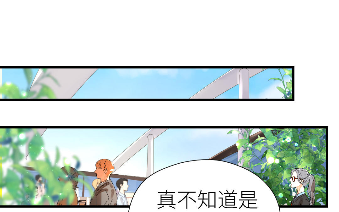 第38话 偷袭(1/3)-第39话