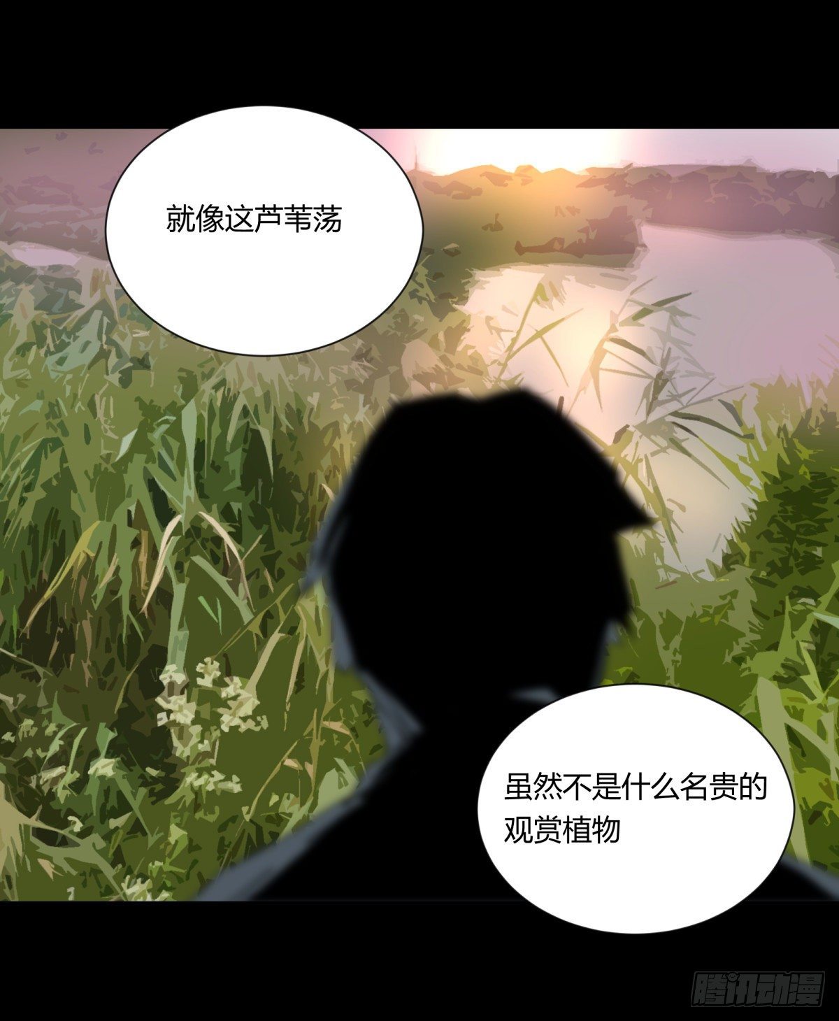22芦苇(1/2)-第23话