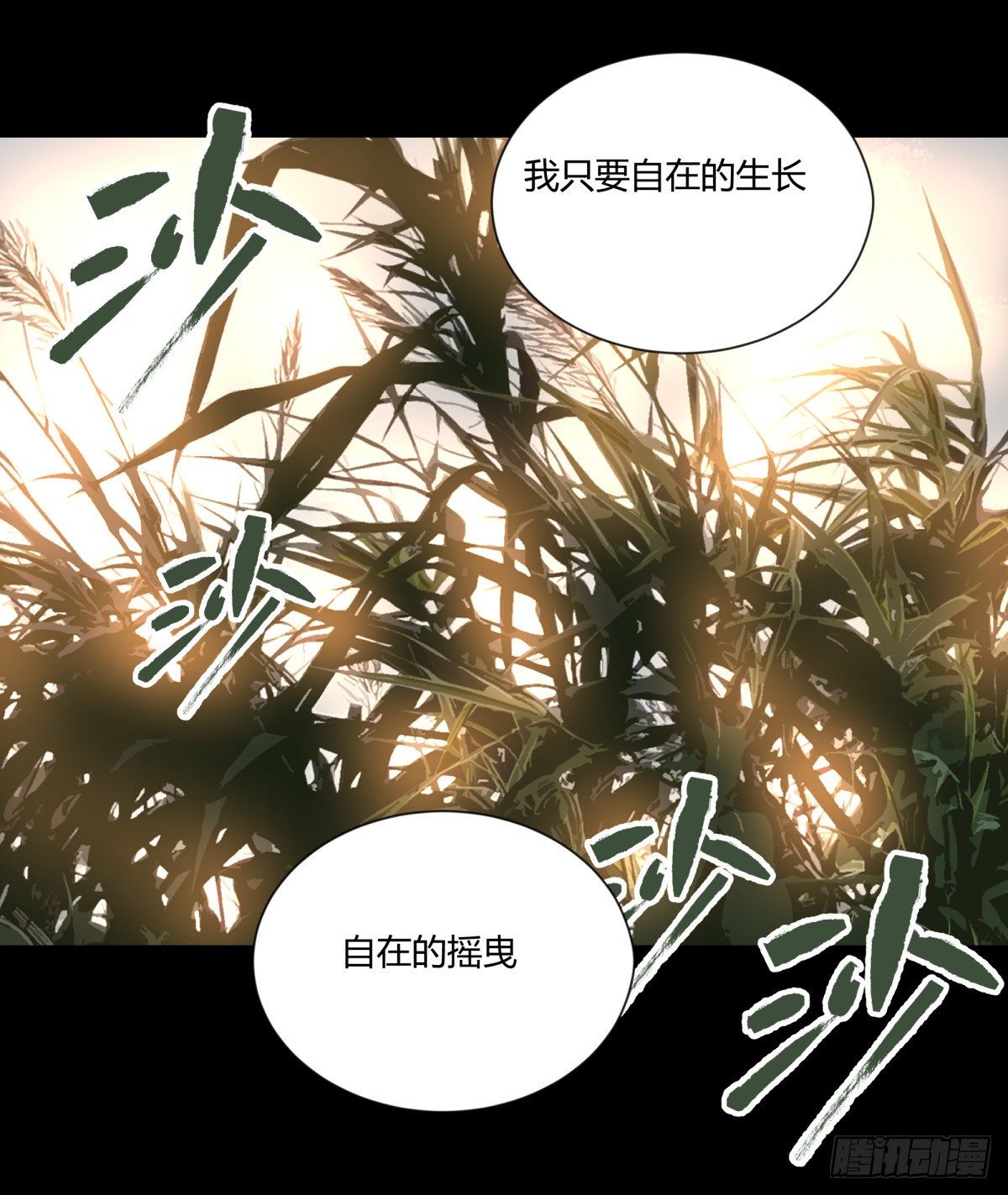 22芦苇(1/2)-第23话