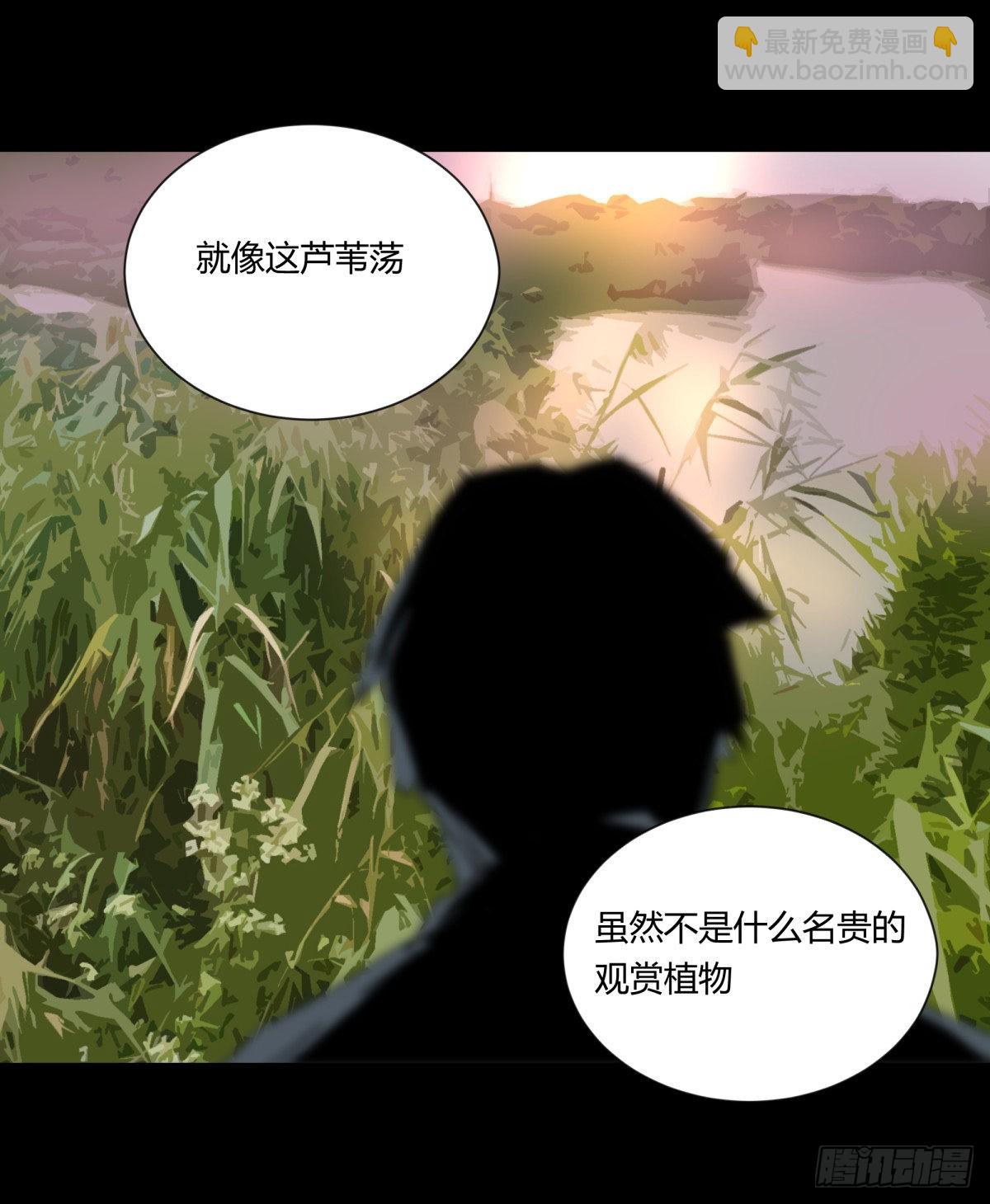 22芦苇(1/2)-第23话