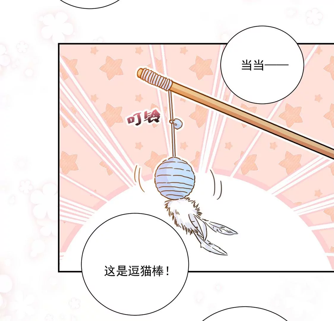 第10话 逗猫棒(1/2)-第11话