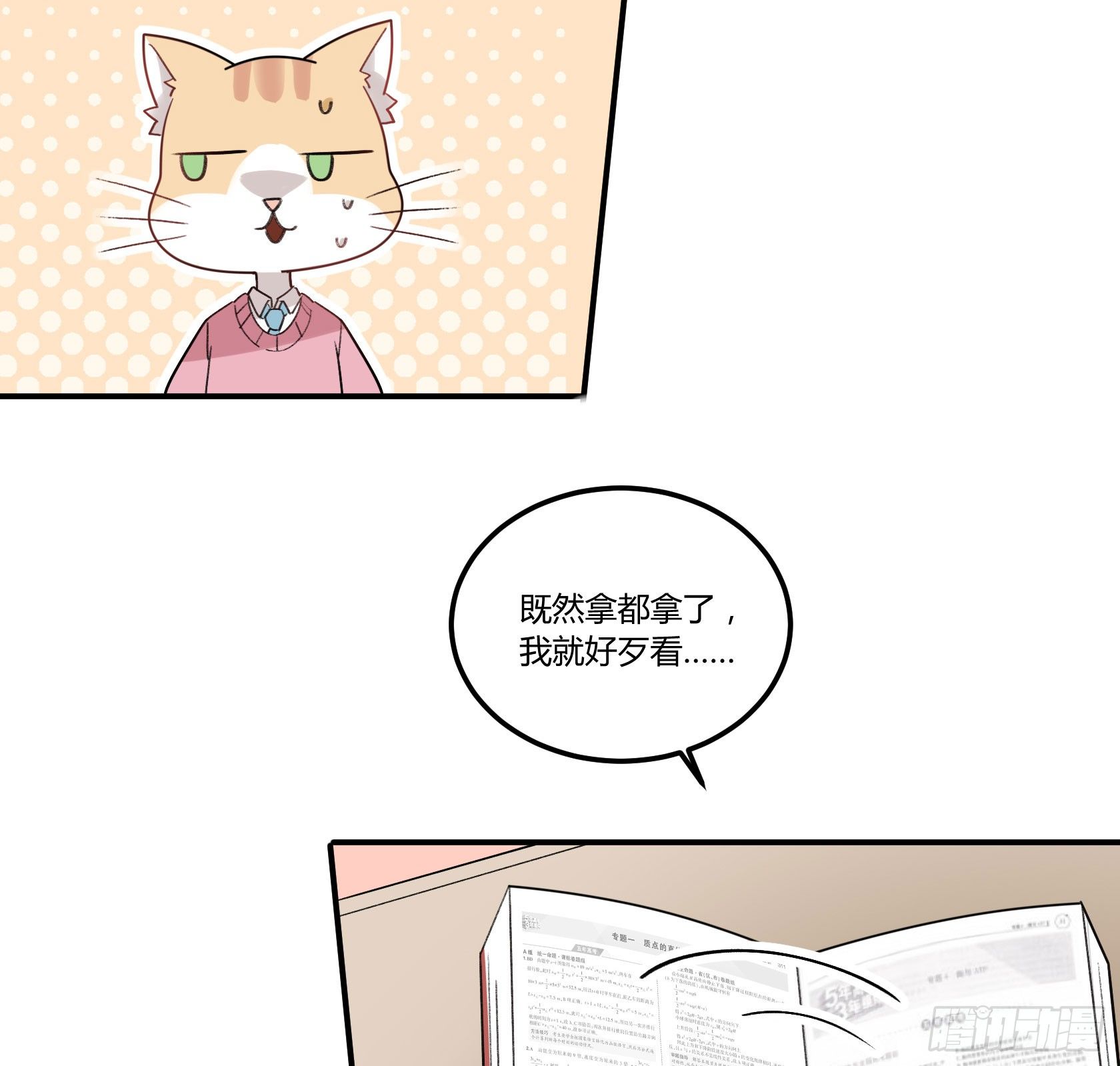 神仙＞人＞妖怪(1/2)-第27话