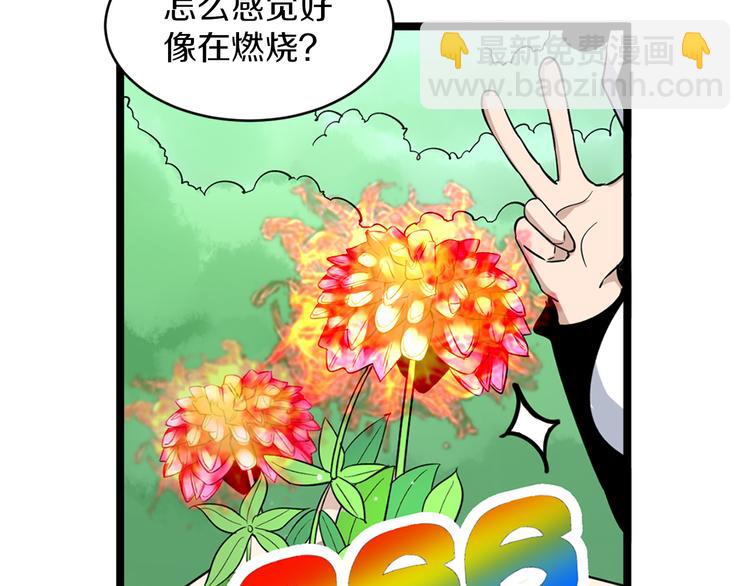 🍱三界淘宝店 第151话 稀世灵花 第12页