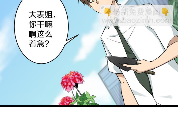 🍱三界淘宝店 第151话 稀世灵花 第35页