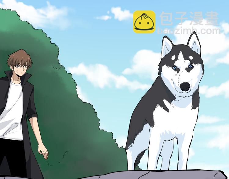 🍱三界淘宝店 第159话 灵犬灵犬 第17页