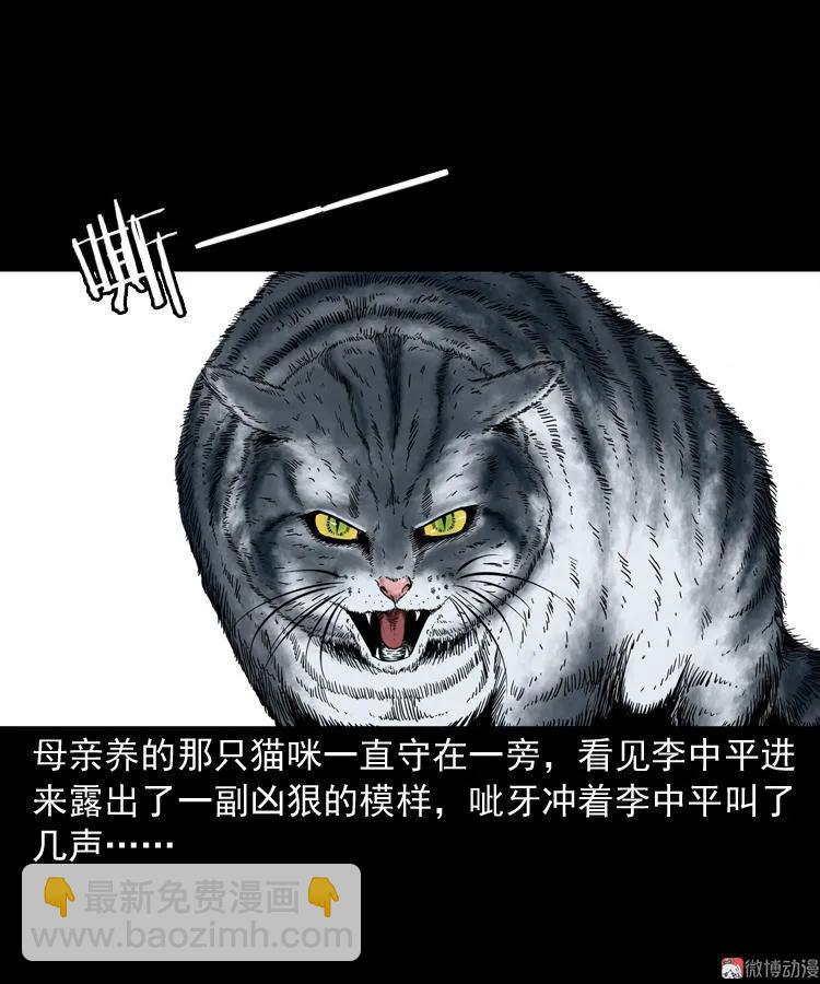 猫老太事件(1/3)-第141话