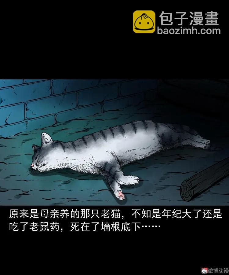 猫老太事件(1/3)-第141话