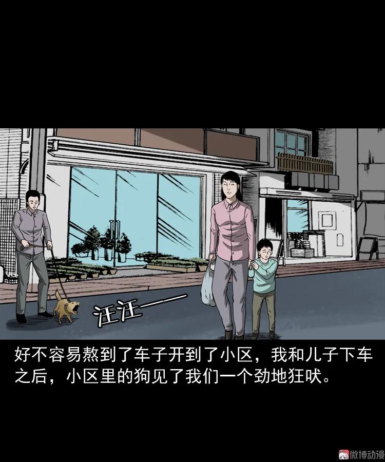 我儿子的故事(1/2)-第165话