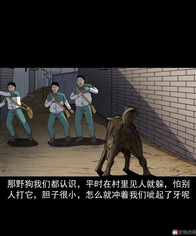 水塘惊魂(1/2)-第207话