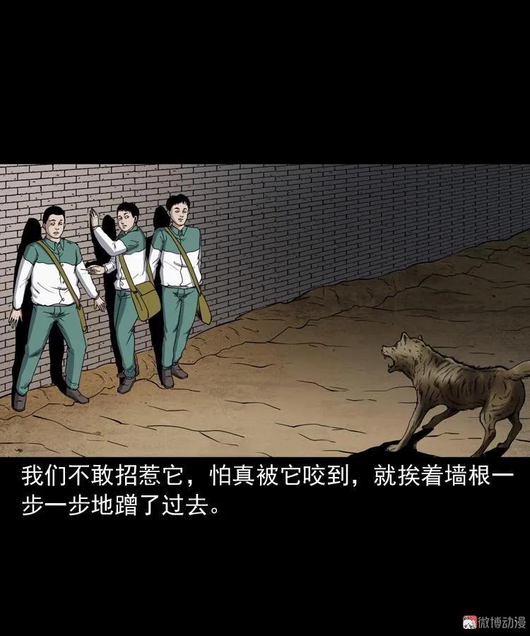 水塘惊魂(1/2)-第207话