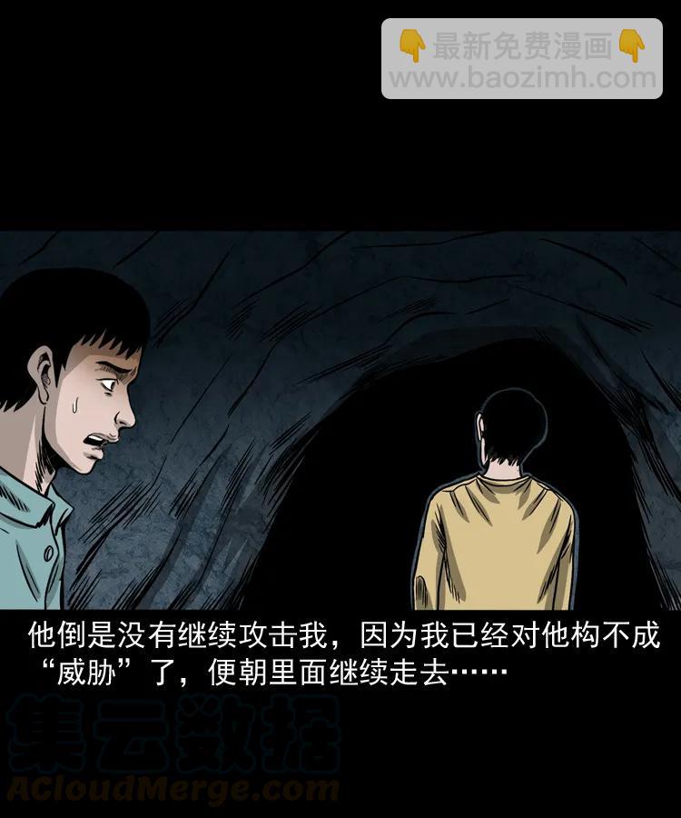 263 迷洞(1/2)-第265话
