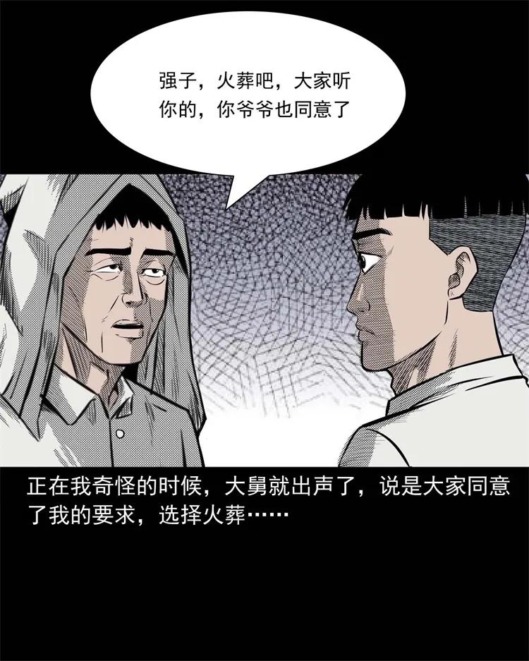 269 抱错骨灰盒(1/2)-第271话