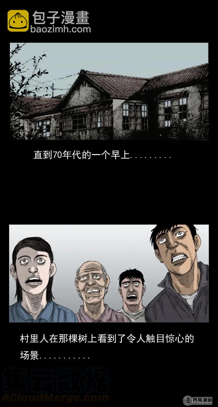 29 古树-第29话
