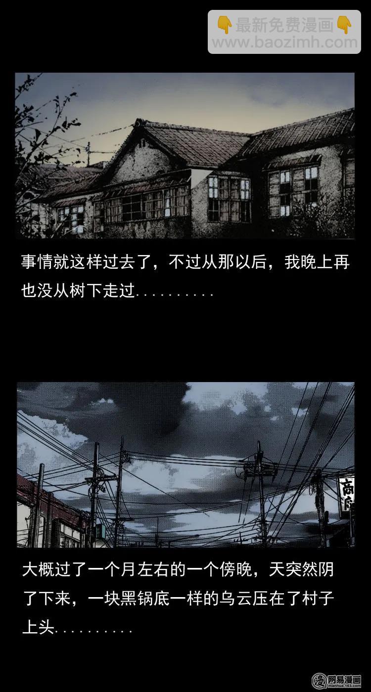 29 古树-第29话