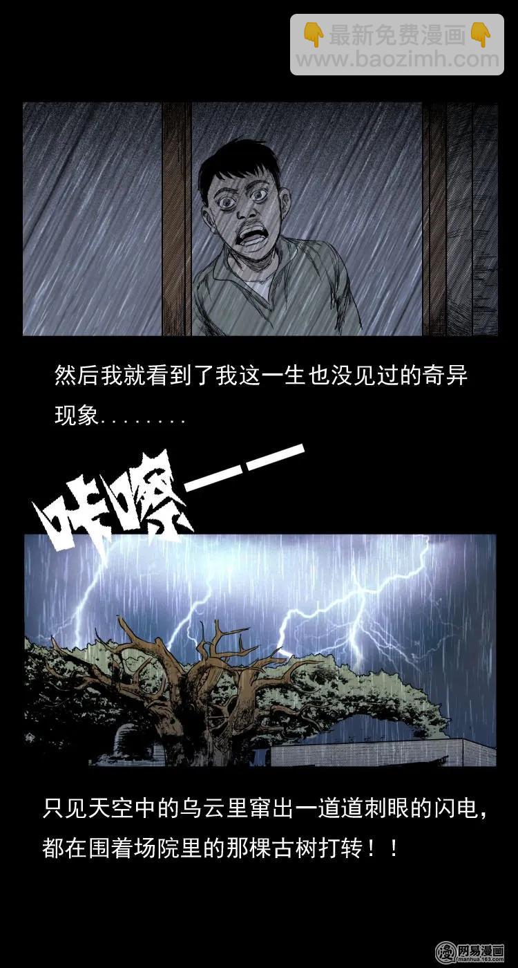 29 古树-第29话