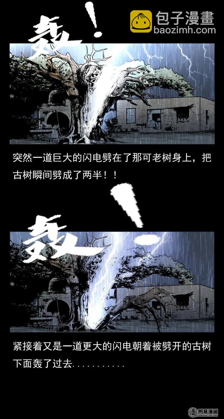 29 古树-第29话
