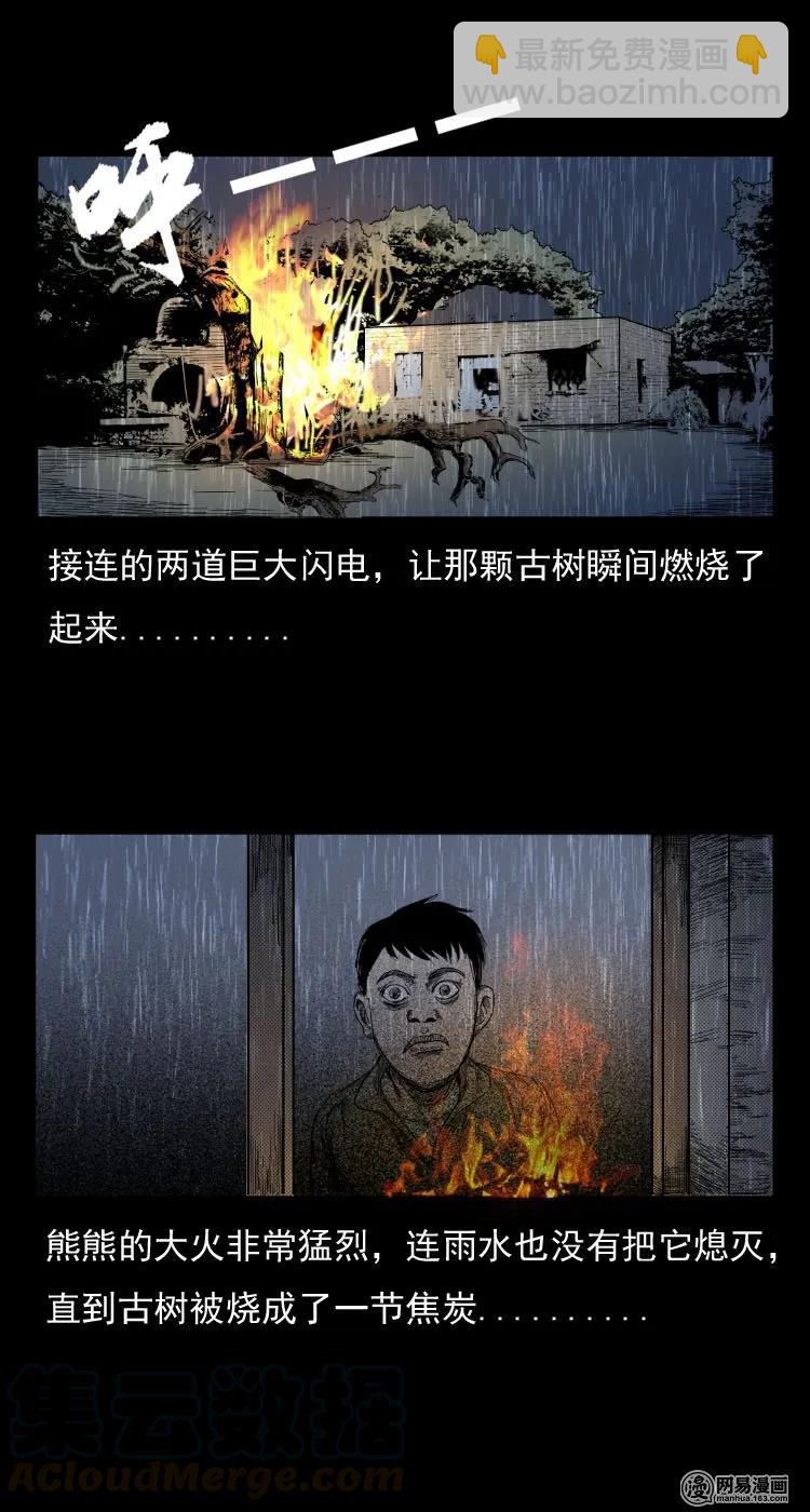 29 古树-第29话