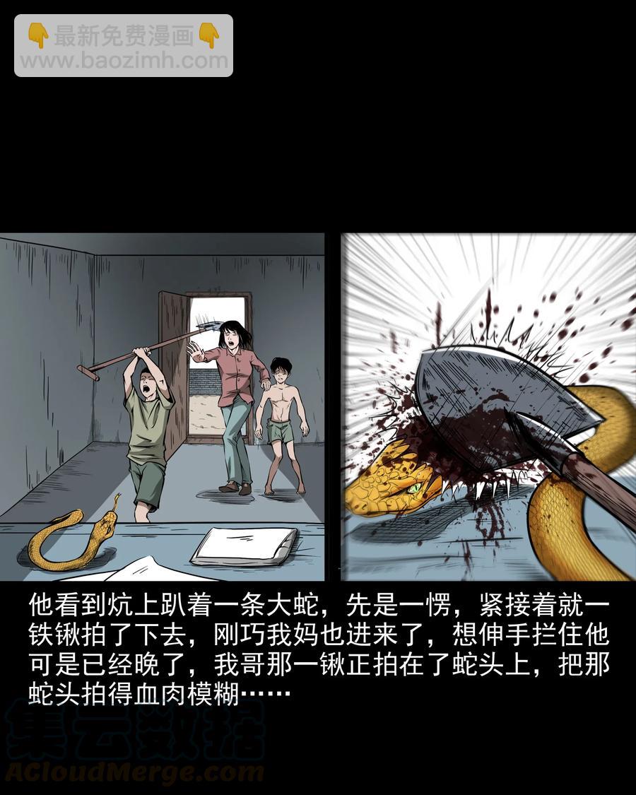 291 蛇祸(1/2)-第293话