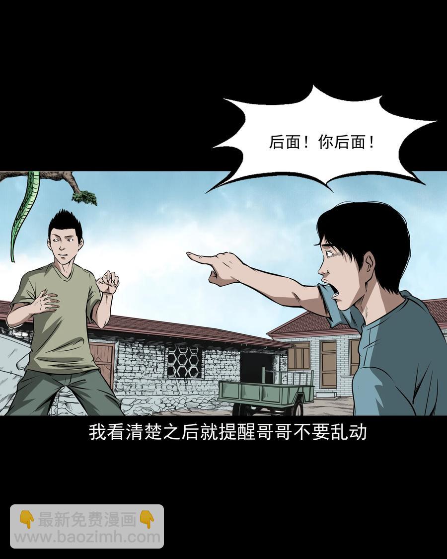 291 蛇祸(1/2)-第293话