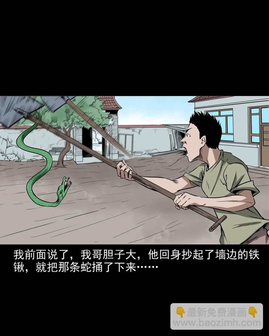 291 蛇祸(1/2)-第293话