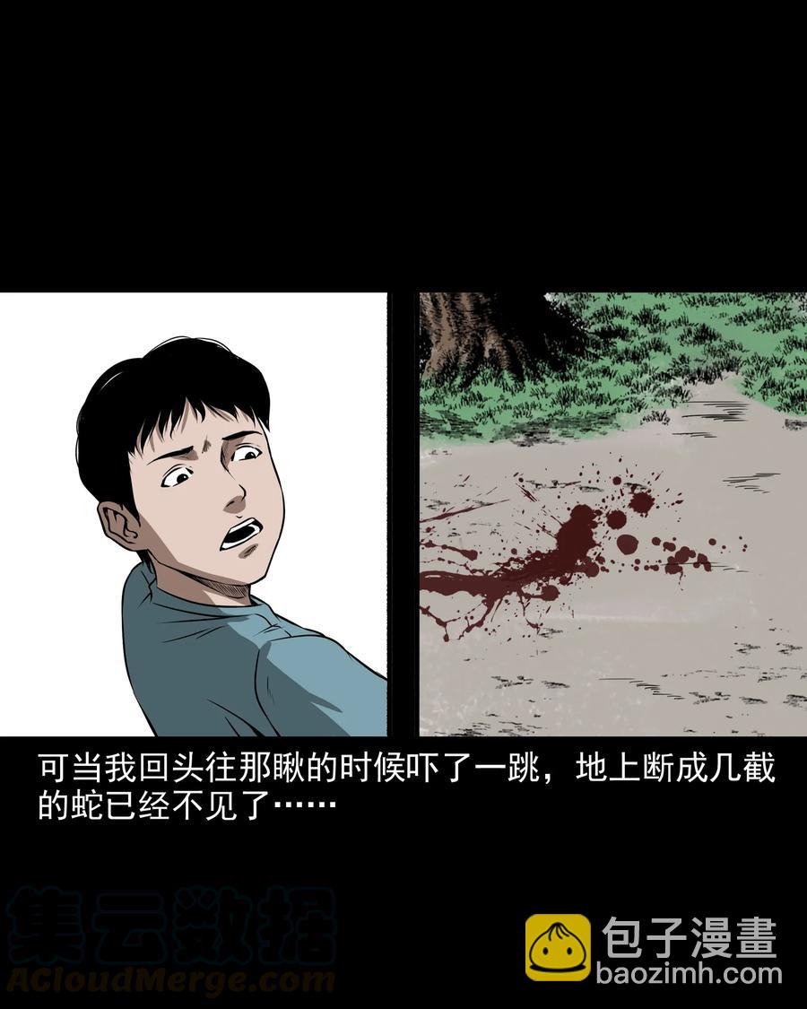 291 蛇祸(1/2)-第293话