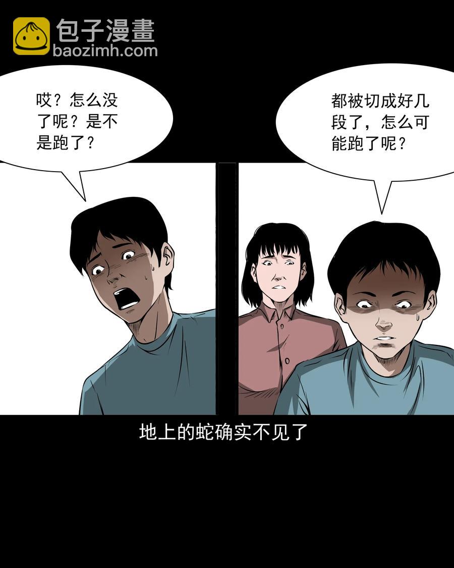 291 蛇祸(1/2)-第293话