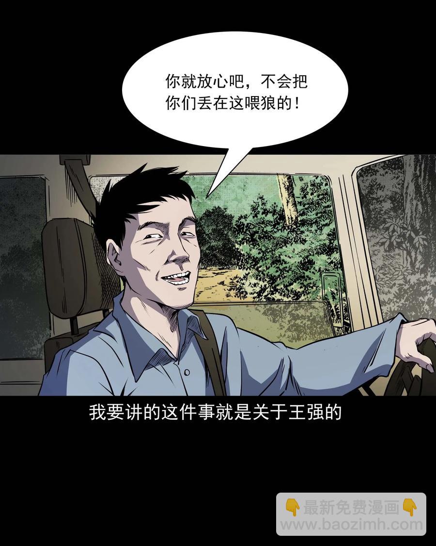 295 司机王强的故事(1/2)-第297话