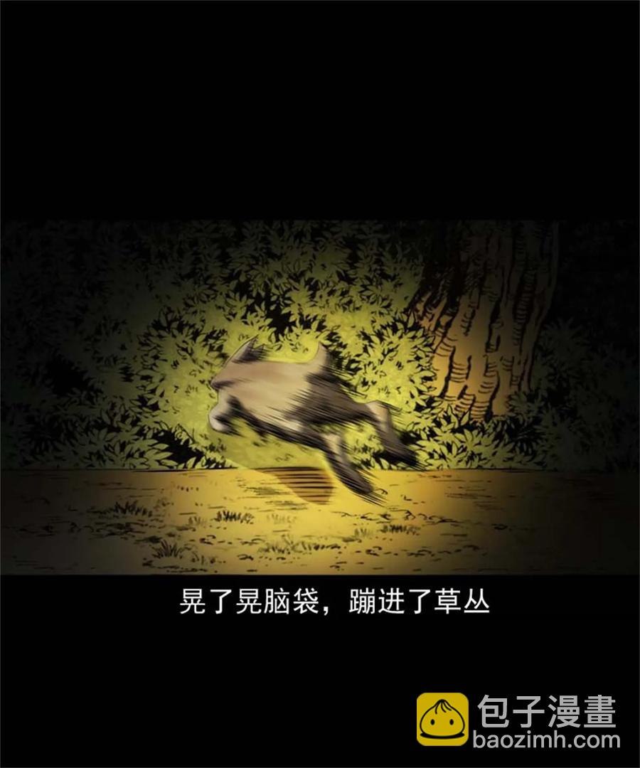 305 夹缝里的宝贝-第307话