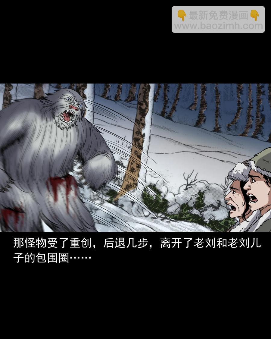 355 雪怪(1/2)-第357话