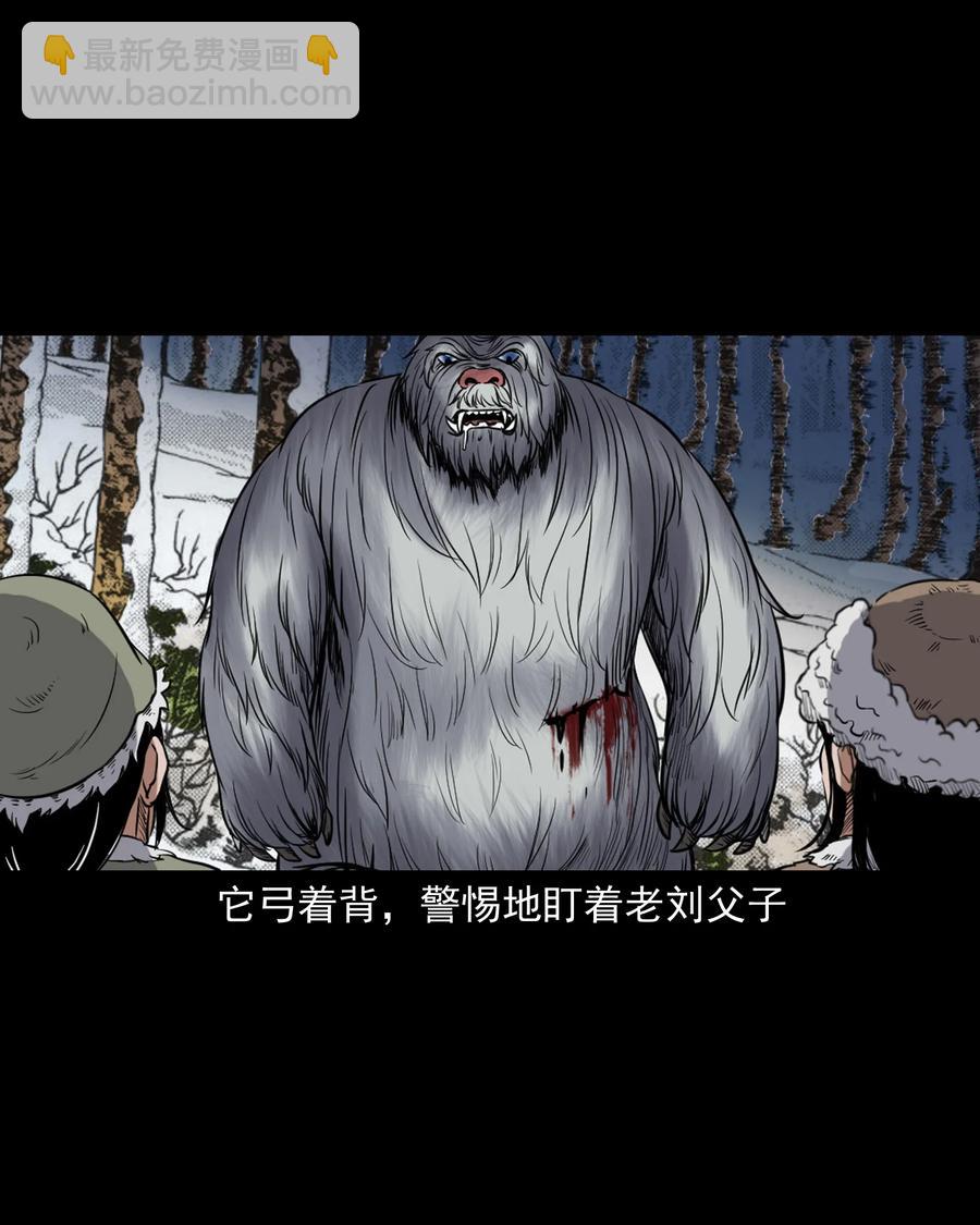 355 雪怪(1/2)-第357话
