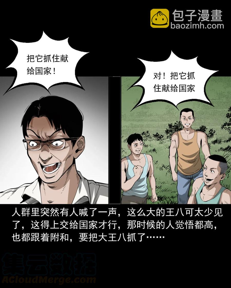 493 大王八-第495话