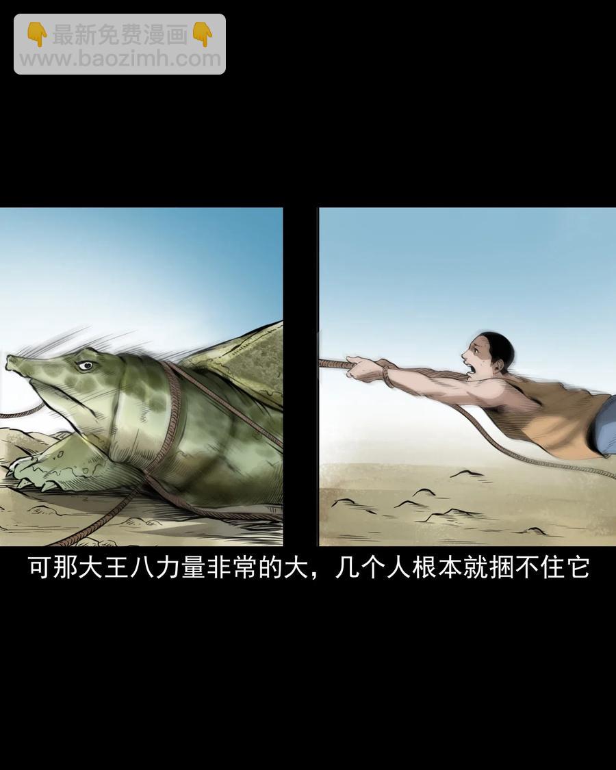 493 大王八-第495话
