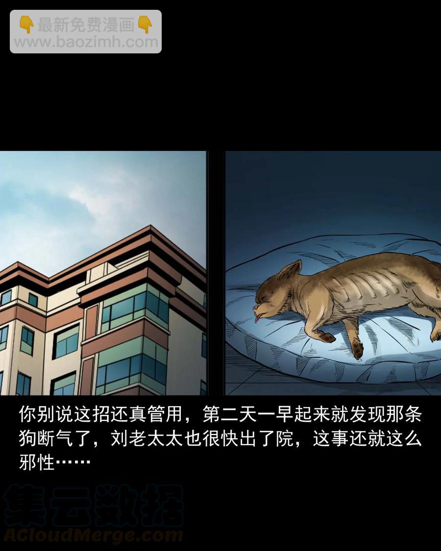509 狗命-第511话