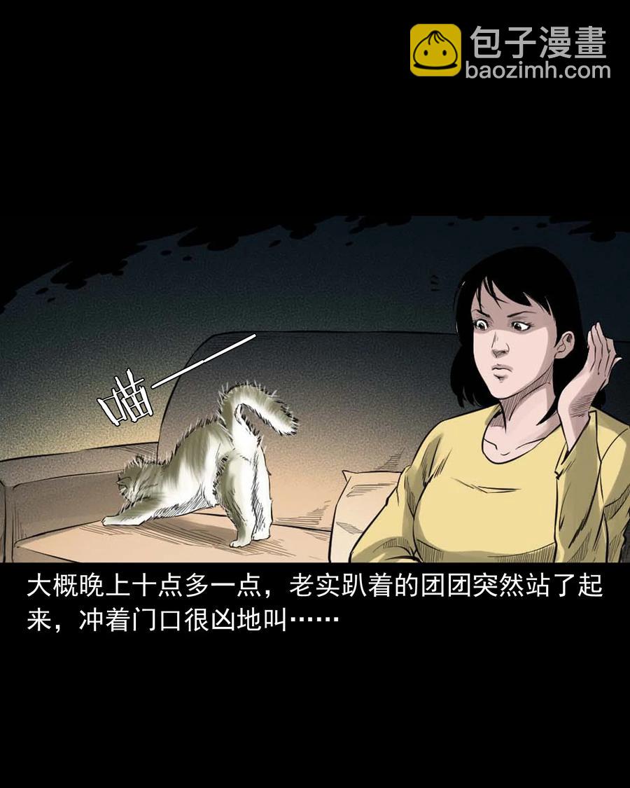 511 猫看见了什么-第513话